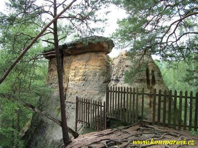 kokorinsko 2004 016
