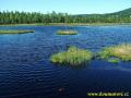 sumava_2005_015