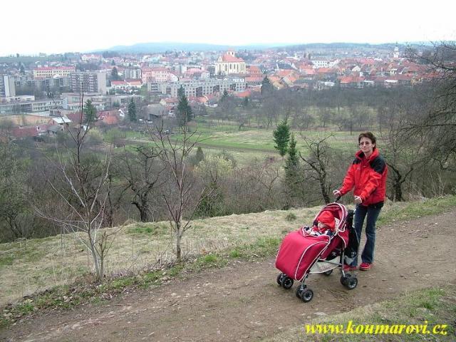 boskovicko_2006_025