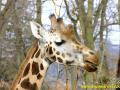 Zoo Lesna 2014 - 03