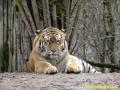 Zoo Lesna 2014 - 07