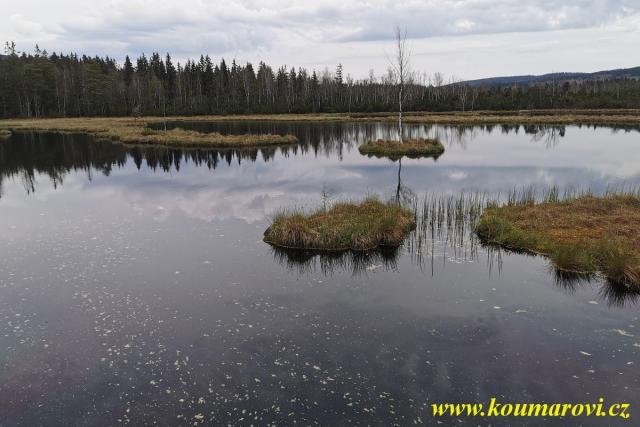 Sumava_05_2020_084