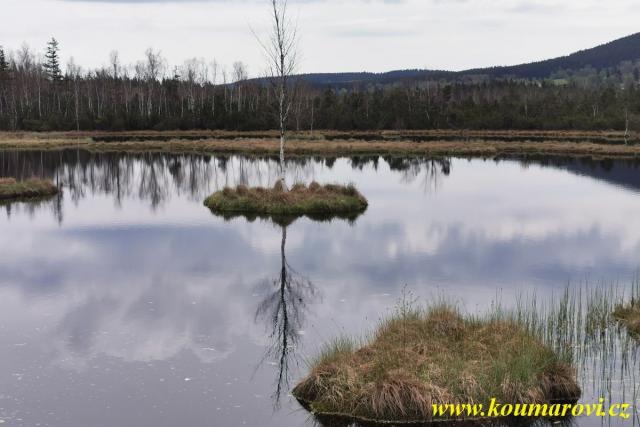 Sumava_05_2020_086